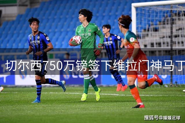 切尔西750万镑签下维拉门神马丁内斯