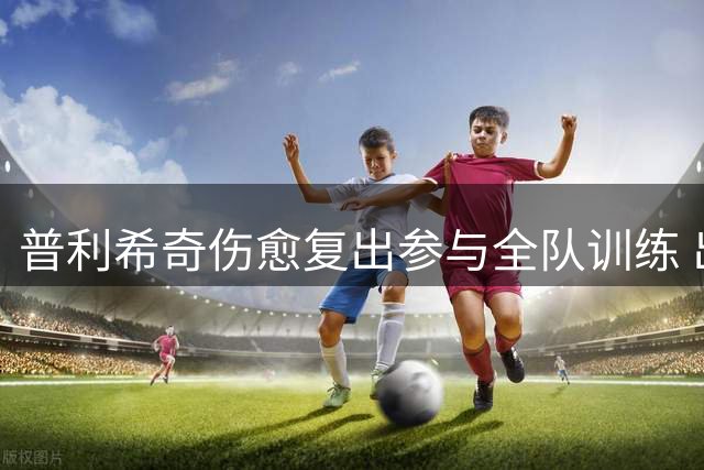 普利希奇伤愈复出参与全队训练 出战都灵存疑