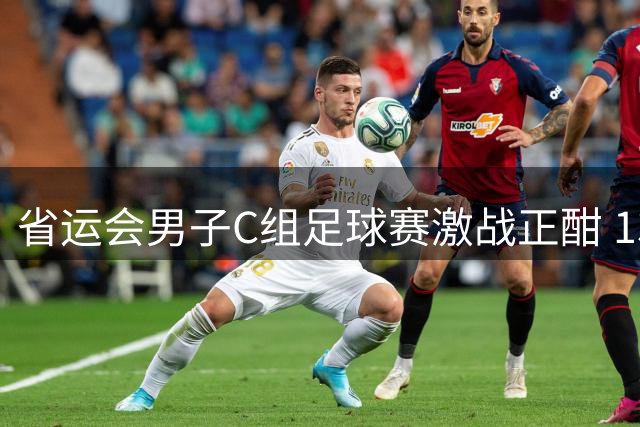 省运会男子C组足球赛激战正酣 13市代表队绿茵争锋