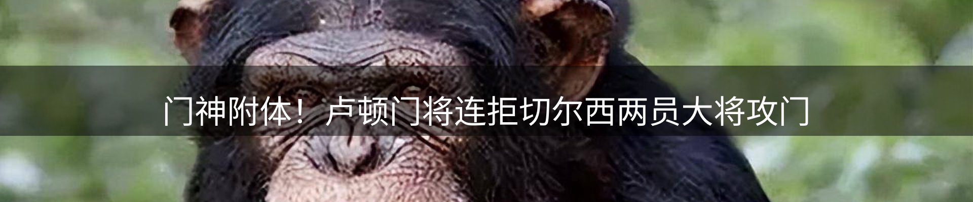 公司快讯